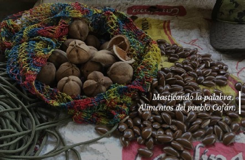 masticando la palabra