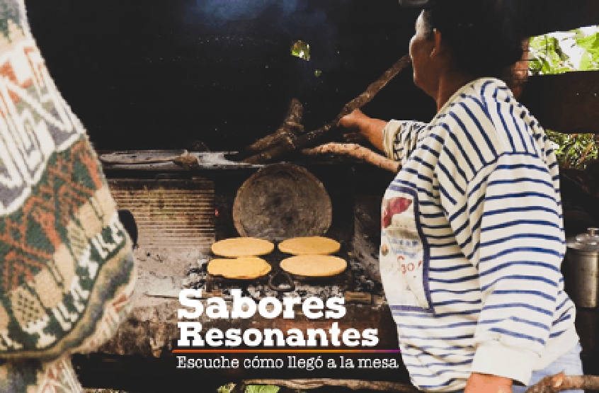 sabores resonantes
