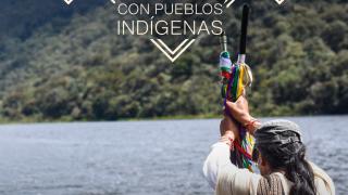 Pautas y recomendaciones para trabajo audiovisual y cinematográfico con pueblos indígenas